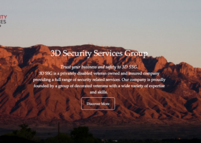 3D SECURITY GROUP