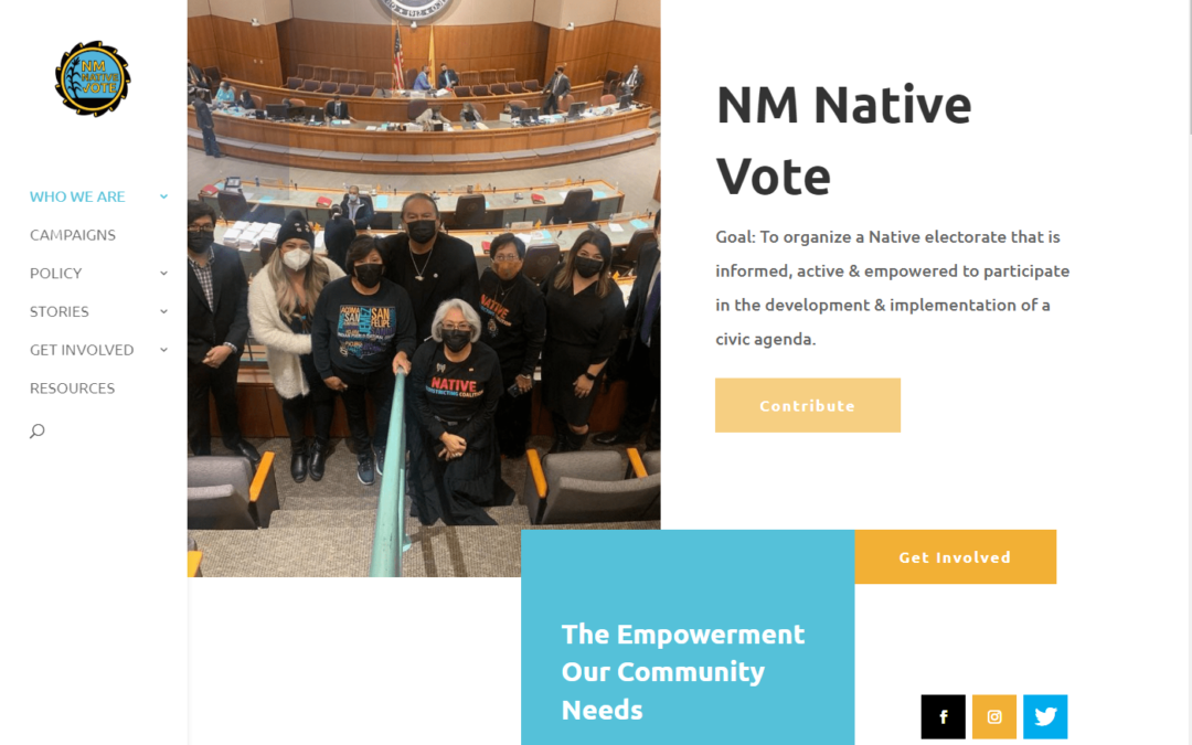 NM NATIVE VOTE