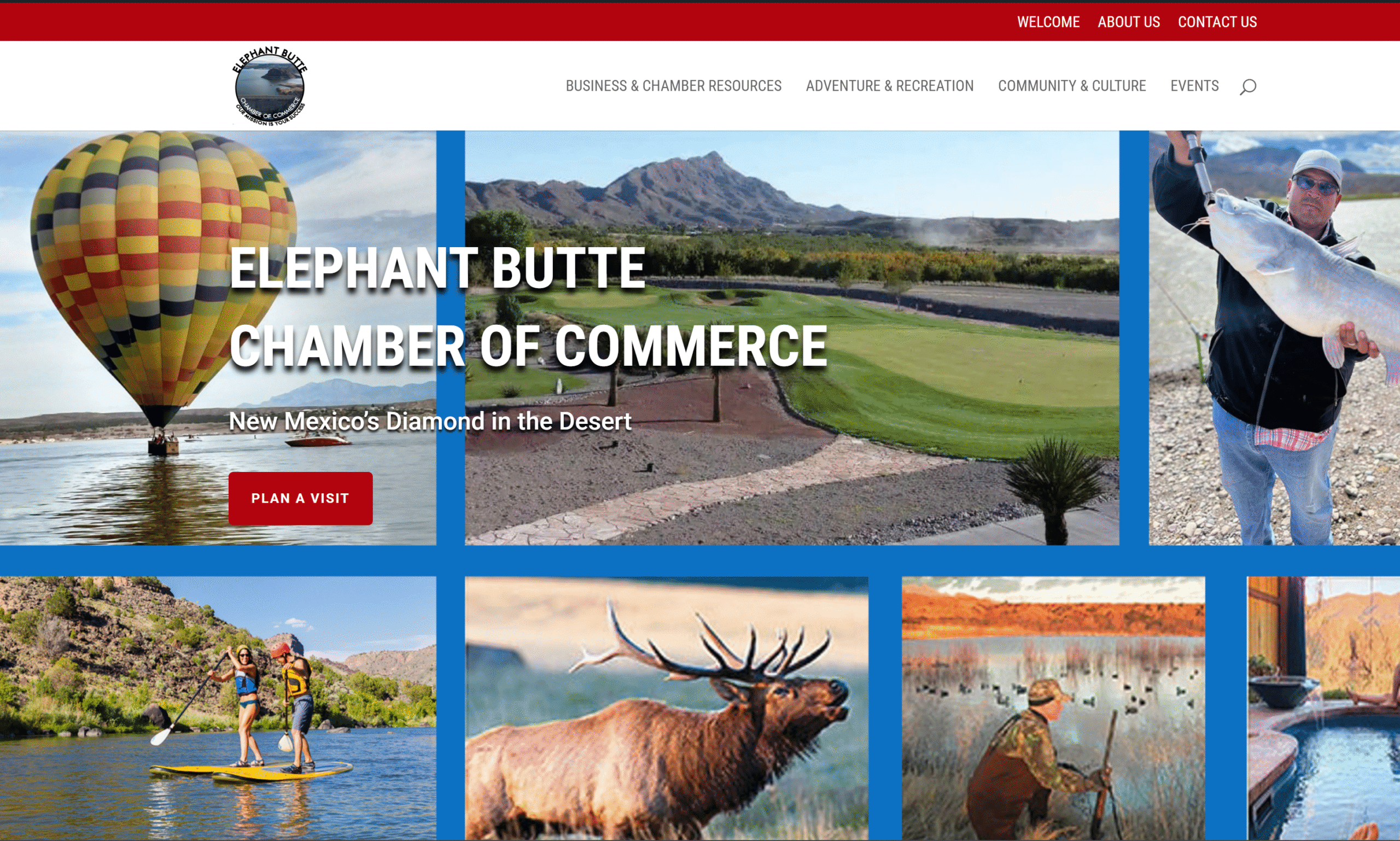 custom website and business applications