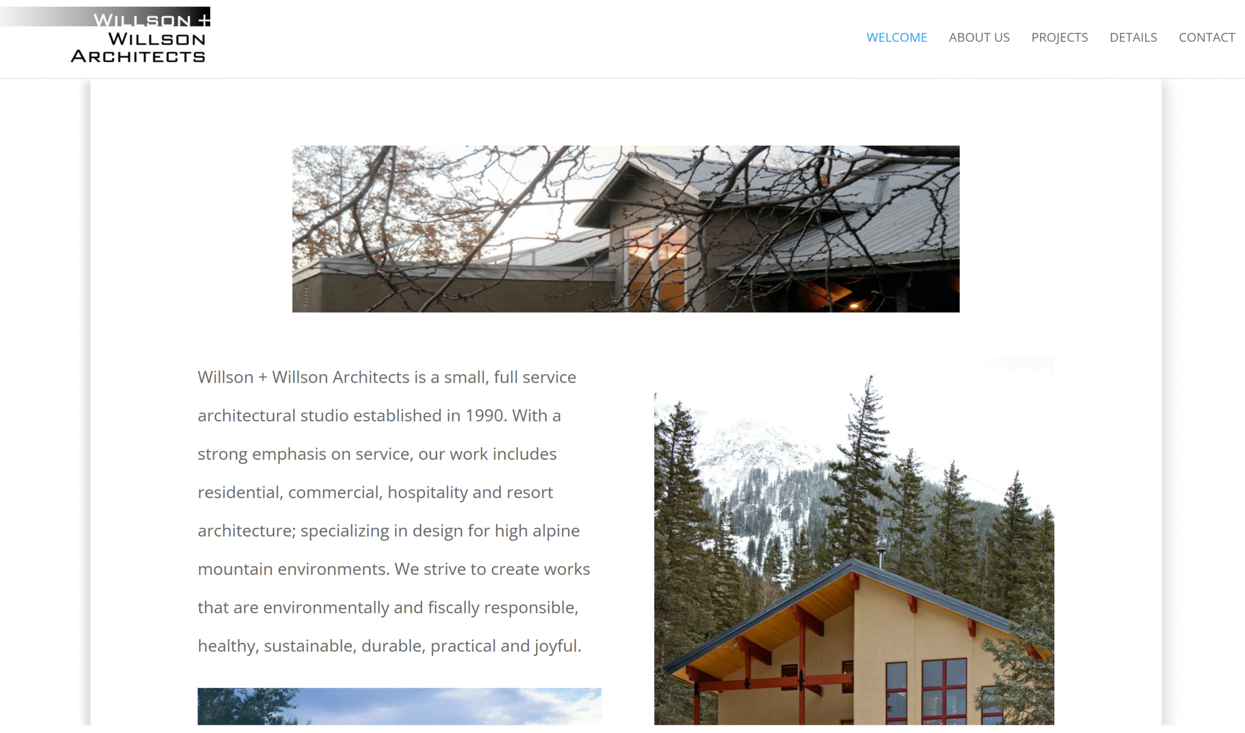 custom website and business applications